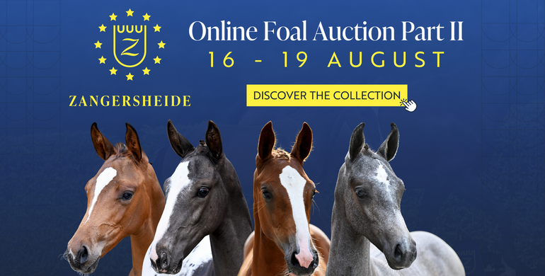 Olympic & Grand Prix glory – Bidding has started for Zangersheide Online Foal Auction Part II, running from 16-19 August