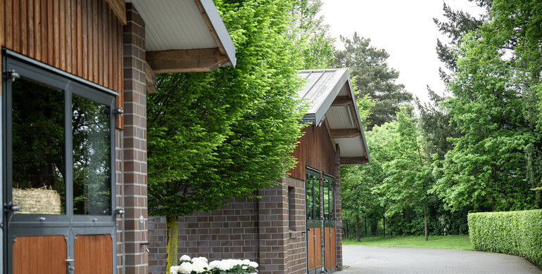 Exclusive show jumping stable in the heart of Germany with free stable wing for rent