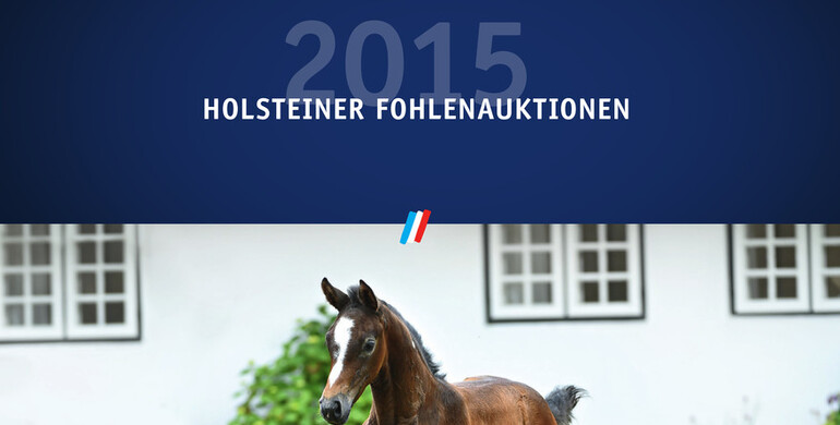 Advertisement; Holstein Foal Auction in Elmshorn and Behrendorf