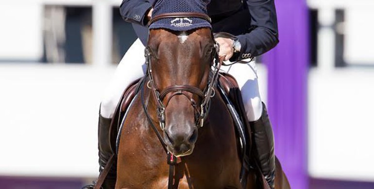 Ben Maher begins CSI5* Treffen with a win