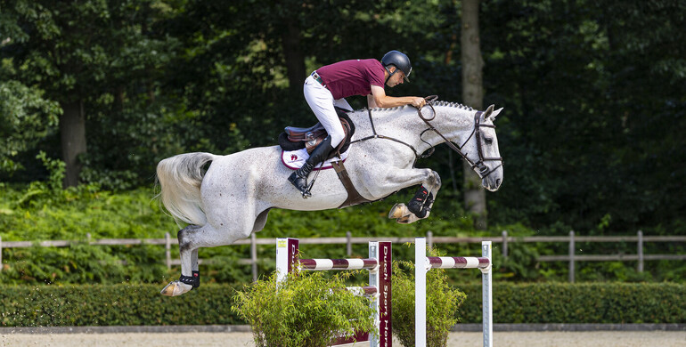 Dutch Sport Horse Sales presents an unrivalled collection of future talents