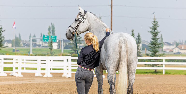 What's on in the jumping world – Week 36, 2025