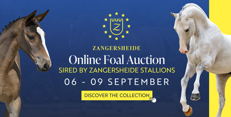 Zangersheide’s final online foal auction of the season: Exceptional foals sired by the iconic Zangersheide stallions