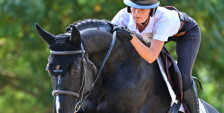 Discover the Parido Auction’s unprecedented collection: 12 Grand Prix horses and future GP prospects will be auctioned at the CSIO5* of Polo Club Saint Tropez by Ekestrian on Friday September 19th