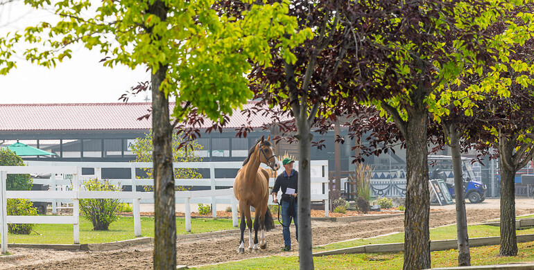 Where it all began... A look back at the horse inspection at the Spruce Meadows 'Masters' 2025