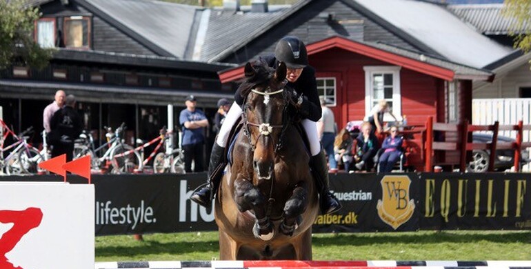 Advertisement; “DSHS-horses perform superbly all over the world. You can’t avoid that fact”