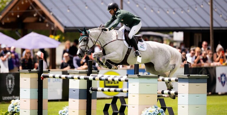 My Lady LaVista to Janne Friederike Meyer-Zimmermann