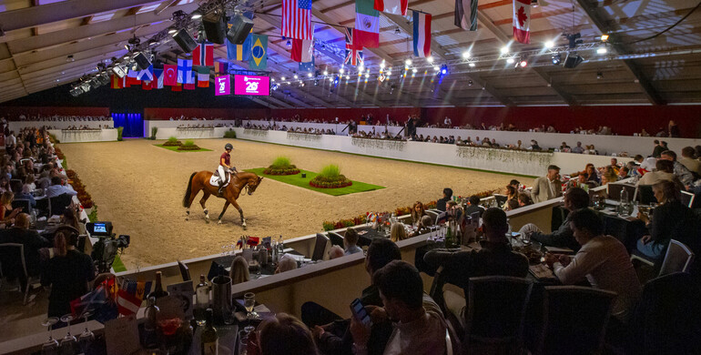 Dutch Sport Horse Sales ambassadors showcase global success ahead of 2025 auction