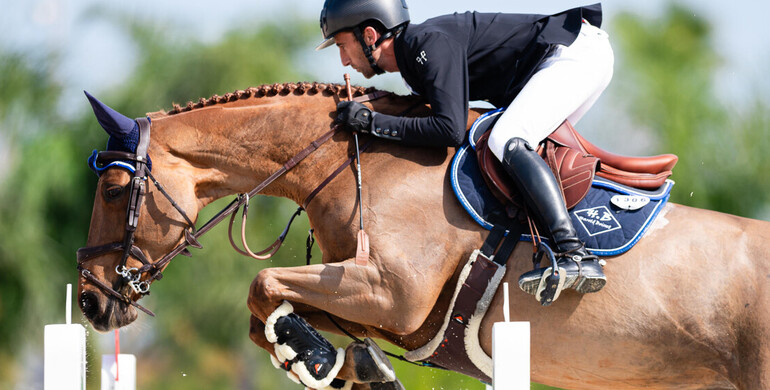 After 97 international wins, Harold Boisset’s super-mare T’Obetty du Domaine retires from the sport