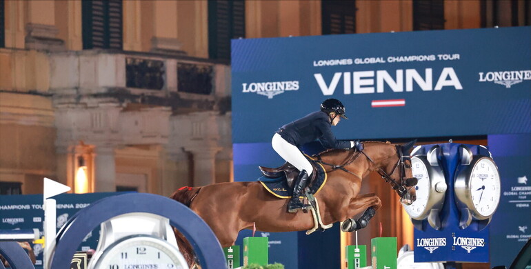 Caetlin vd Heffinck Z sold to Edwina Tops-Alexander and Stoeterij Black Horses