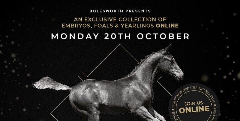 Bolesworth Elite Auction, presented by Carrera Stud -  20th October 2026
