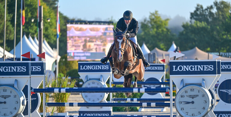 Youhorse.auction offers number 6 of the 5-year-olds at World Championships