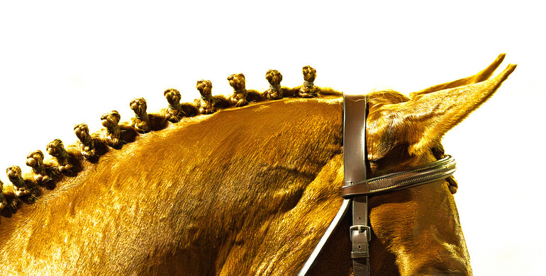 The final draft on the proposed changes to the FEI Jumping Rules 2026 published