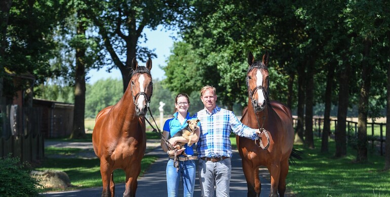 Where to rear your youngsters? Availability at Stud Stiekema's five-star facility