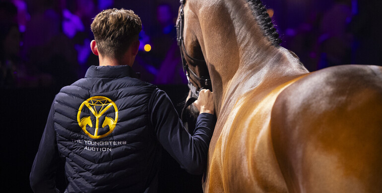 Coming Tuesday: The Youngsters Auction – A showcase of future showjumping stars