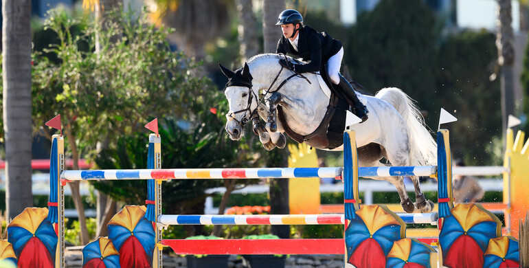 Okapi van het Schaek joins Karl Cook’s string of horses