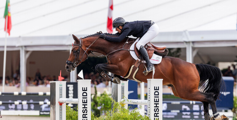 Coolmore Showjumping acquires Earl of Alice for Tom Wachman