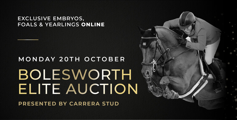 24 hours to go! Bolesworth Elite Auction, presented by Carrera Stud