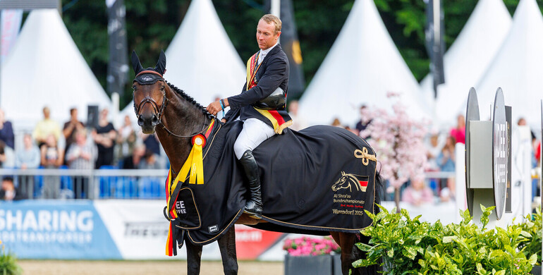 2nd Verden High Level Auction – November 8, 2025 – Top-class show jumpers for ambitious riders