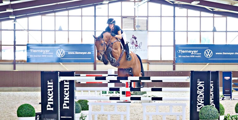 Holger Hetzel’s 20th International Sport Horse Sales - Top lots and anniversary surprises