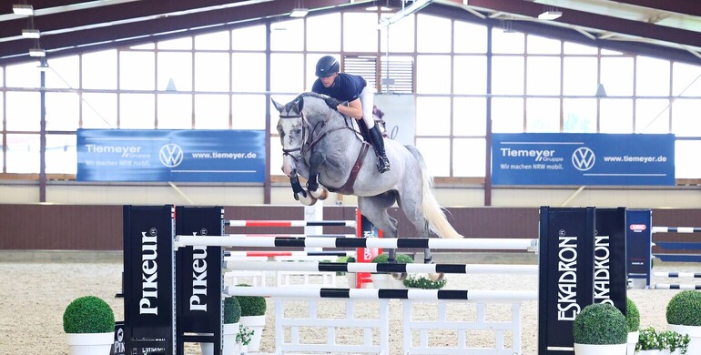 Playboy – the perfect name for a horse that steals the show