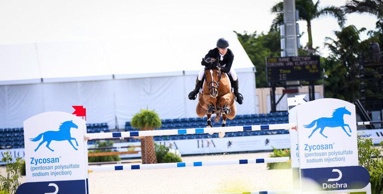 Irish triumph at Wellington International: Sweetnam takes the $120,000 Zycosan CSI3* Grand Prix