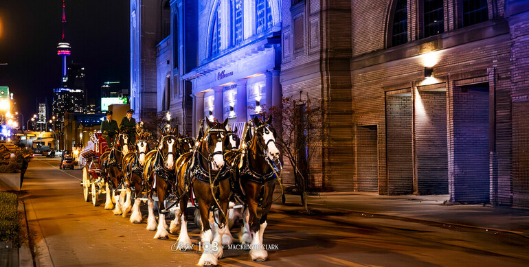 Highlights from The Royal Horse Show 2025