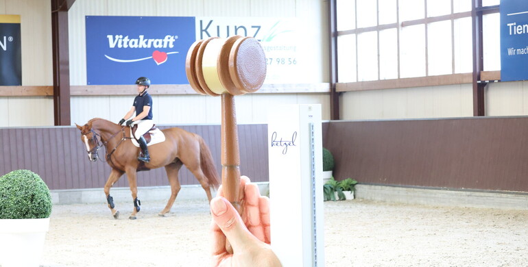 20th Holger Hetzel Sport Horse Sales – 20 years of trust and success
