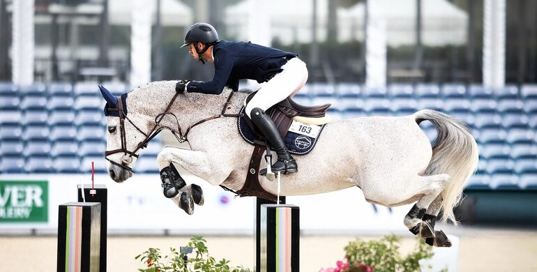Ward and Nassar headline Thanksgiving Day FEI action at Wellington International