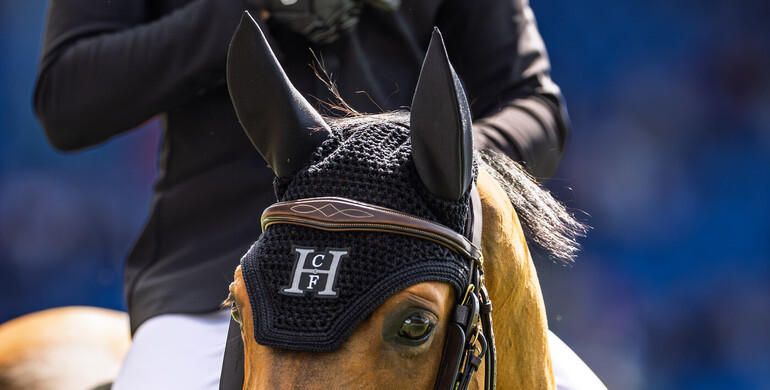 That Special Bond – with Harry Charles: “Sherlock’s like a pet, and the most affectionate horse – a yard favourite”