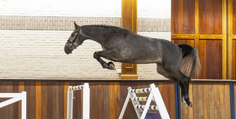 Trigon Auctions ends the year on a high note