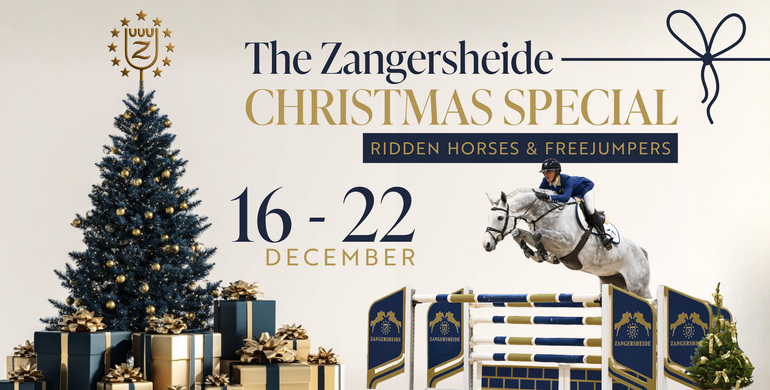 Tradition meets quality: The Zangersheide Christmas Special auction awaits!