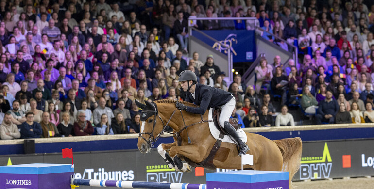 The debutante of the year – Qalista DN and Gilles Thomas triumph at magical Mechelen