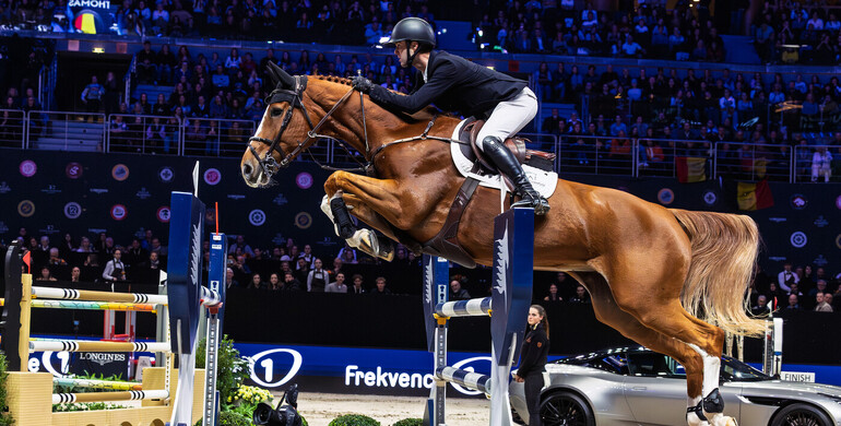 From youngster to international Grand Prix horse – Qalista DN: “Every goal you set, she meets”