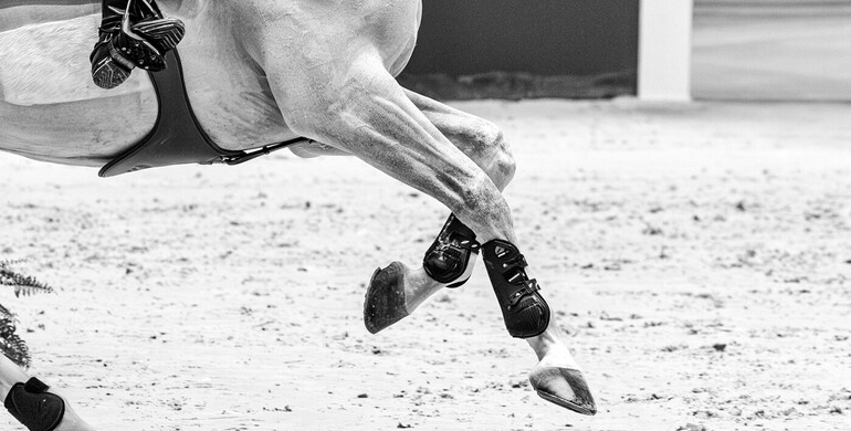 FEI issues Middle East travel advisory, allows competition to continue in Doha