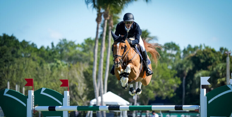 Mark Bluman and Landon de Nyze off and winning at WEF