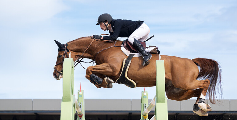 Seppe Wouters and Quito de Mariposa outshine their elders in the CSI3* 1.50m CHG Grand Prix at Oliva Nova