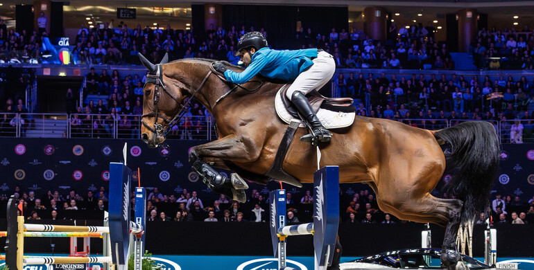 From youngster to international Grand Prix horse: Bonne Amie – “All the doors are open now and the sky is the limit”