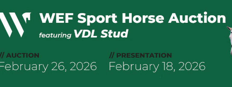 VDL Stud is back in Wellington with the WEF Sport Horse Auction