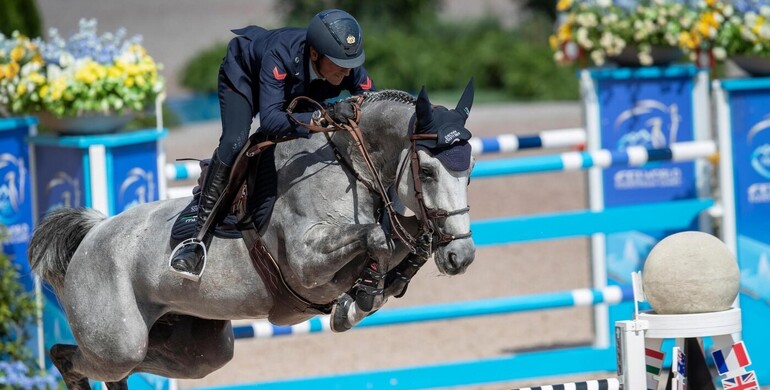 From genetics to gold: Genesis Horse Breeding sparks a surprise with the launch of its 2026 catalog