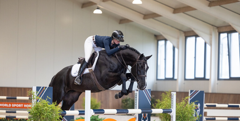 The World Sport Horse Sales auction presents its most versatile and talent-packed collection for the fourth edition