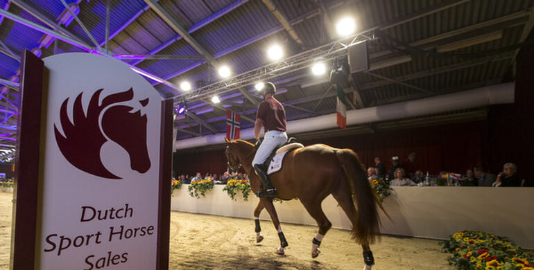 Advertisement; Dutch Sport Horse Sales-collection presents itself excellent