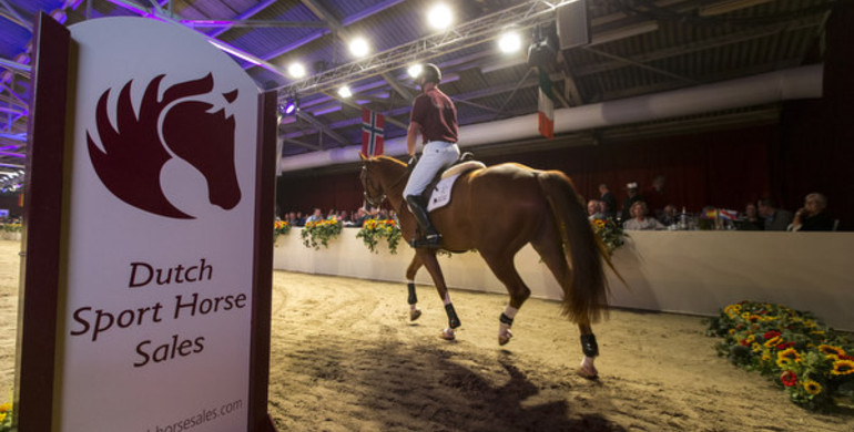 Advertisement; Dutch Sport Horse Sales-collection presents itself excellent