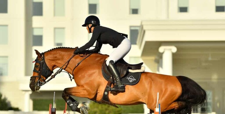 Lauren Balcomb and Verdini D’houtveld Z are too quick to catch in CSI3* $62,500 Alltech Grand Prix qualifier