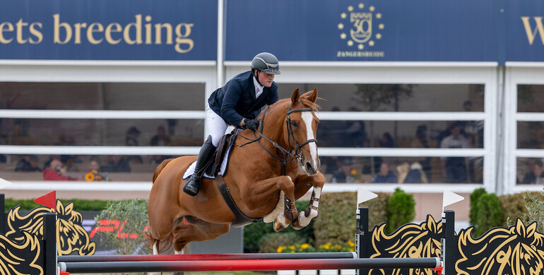 Stephex Stables acquires Devino van’t Langeveld Z to Daniel Deusser