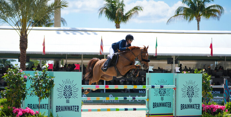 Charlotte Jacobs comes back with Rincoola Milsean in BrainWater Grand Prix