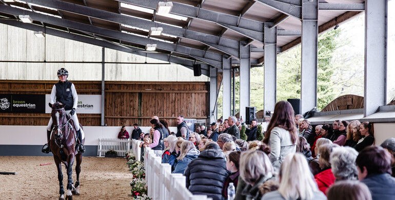 Breen Equestrian celebrates continued growth and international recognition as leading UK Stud