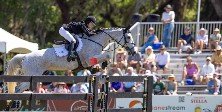 From youngster to international Grand Prix horse: Out of the Blue SCF