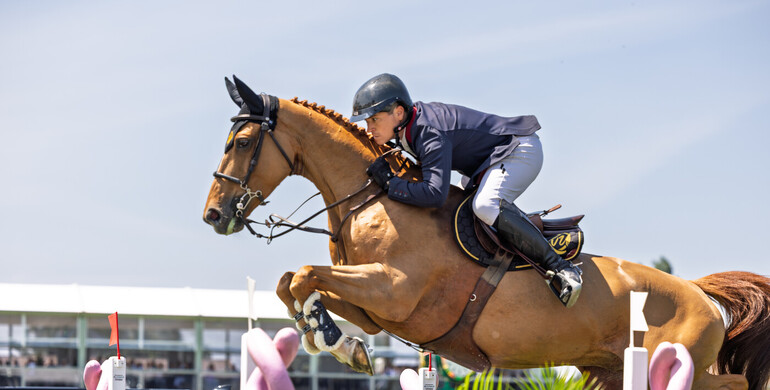 Pierre-Marie Friant’s Urdy d’Astrée retires from the sport