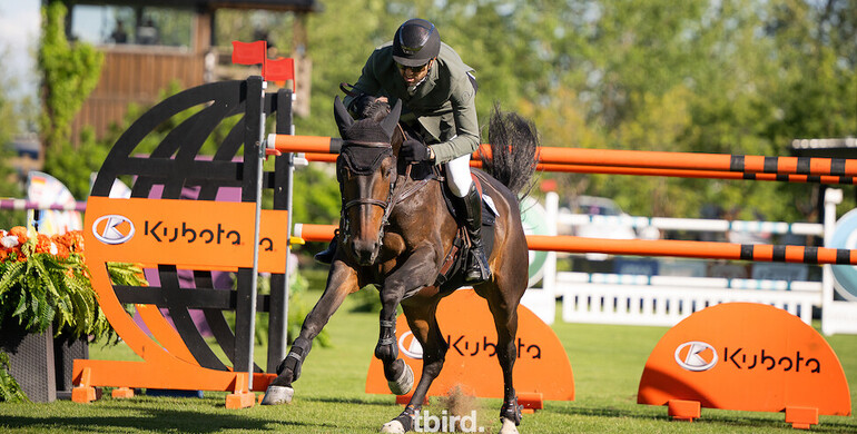 Chawke & Daido van’t Ruytershof Z claim CSI4* Qualifier